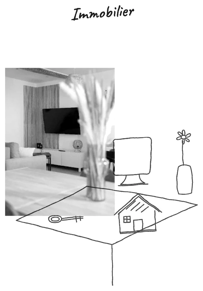 Collage immobilier — photo et illustration